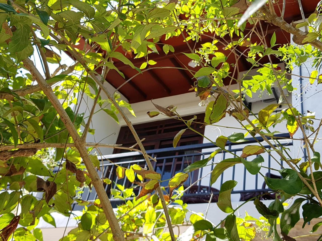 My Whales Guest House Banduramulla Екстериор снимка